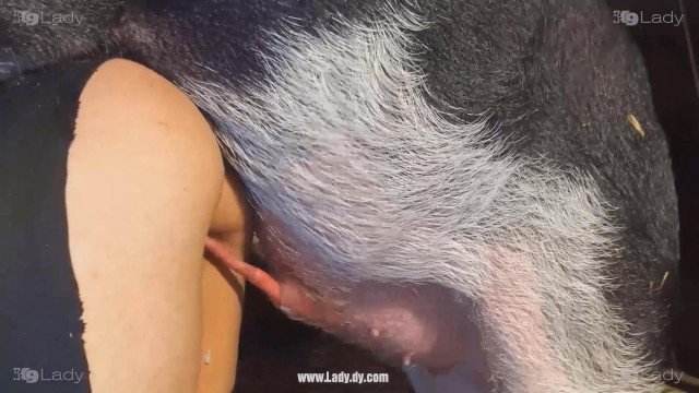 Filmes para Download peluda  sexo com animais zoofilia cachorro ejaculando Puta transando com um cavalo em pé Lise private club animalsex cavalo gozando na mulher