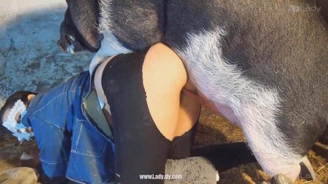 Filmes para Download peluda  sexo com animais zoofilia cachorro caralhudo comendo a buceta de loira Cachorro arrombando buceta da dona Andy Private Caledonian ,ZOOdelight ,Zooskool ZOOSEX Raven having sex with Dog