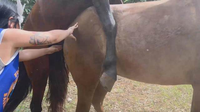 xoxota cabeluda zoofilia filmes zoofiliade  brasileirinhas sexo com cavalos e uma MILF Mulher latina fazendo sexo com cavalo Vídeo de sexo bestial grátis