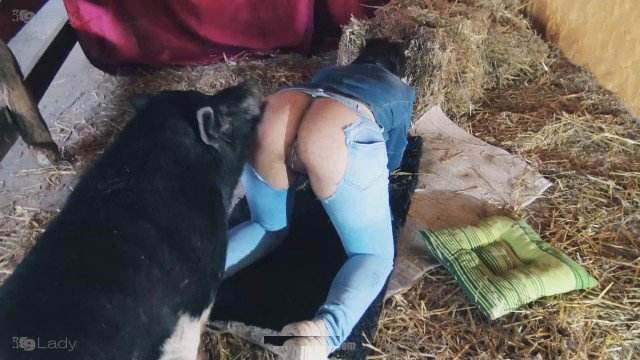 cabeluda zoofilia dogbond mulher chupando a pica do cachorro pornografia animal porco comendo a buceta Cavalo gozando dentro da buceta de uma loira cavala