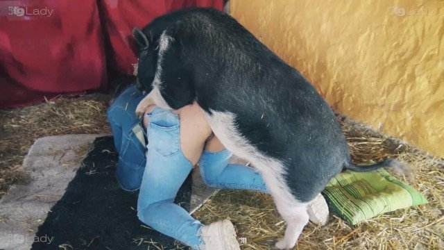 cabeluda zoofilia dogbond mulher chupando a pica do cachorro vídeos pornôs de animais grátis Mulher Transando Com Cachorro Cachorro fodendo com uma loira muito gostosa
