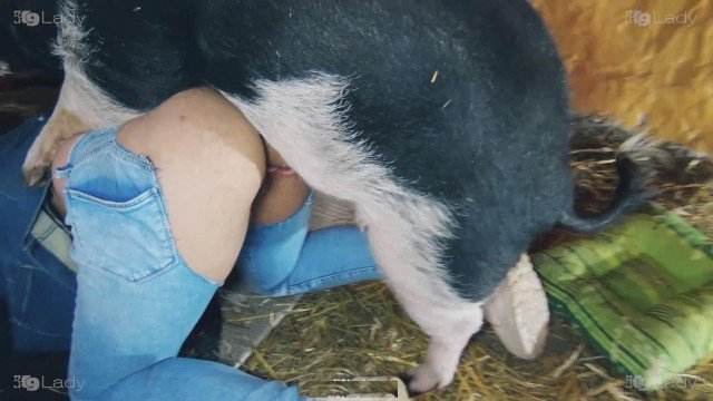 cabeluda zoofilia dogbond Filme pornô com um enorme pau de cavalo melhores filmes de bestialidade de todos os tempos animal sexo tubo Cavalo gozando dentro da buceta de uma loira cavala