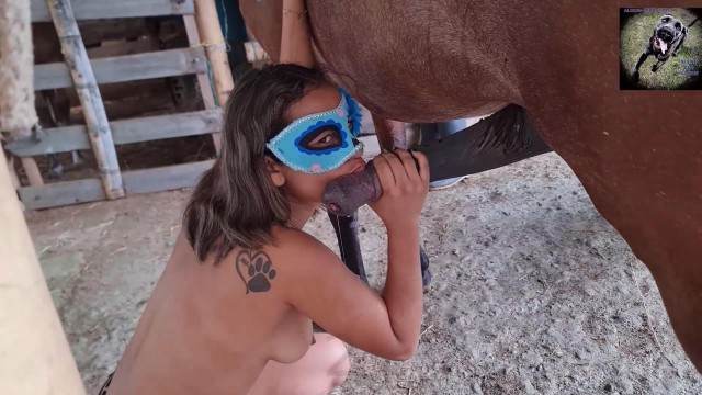 dogbond DVDs pinto de cavalo Cachorro fodendo com uma loira muito gostosa Mulher Transando Com Cachorro pornografia animal Cavalo de Pau Molhado e Mulher Chupando