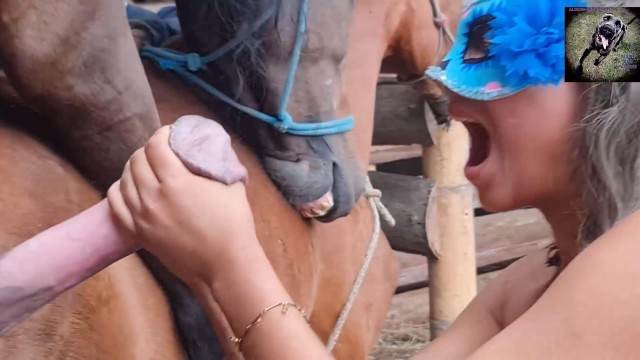dogbond DVDs pinto de cavalo Cachorro fodendo com uma loira muito gostosa Raven, DogWoman, Alison, Yasmin, Gisele, Vixen, Cupcake, Lise, Sonia Zoofilia Mulher batendo punheta pro cachorro cachorro caralhudo comendo a buceta de loira