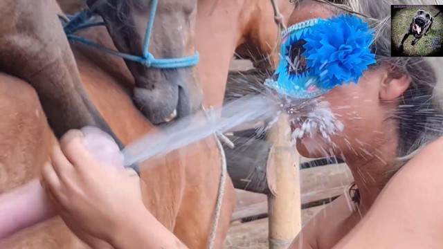 dogbond DVDs pinto de cavalo Bestiality woman having sex with animals Filme pornô com um enorme pau de cavalo melhores filmes de bestialidade de todos os tempos Lise private club animalsex