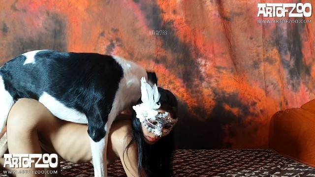 sexo bizarro peluda  sexo com animais zoofilia k9lady Lise private club animalsex filmes anal sexual amor zoofílico orgia no zoológico Mad GloryQuest Japones sexo com cachorro