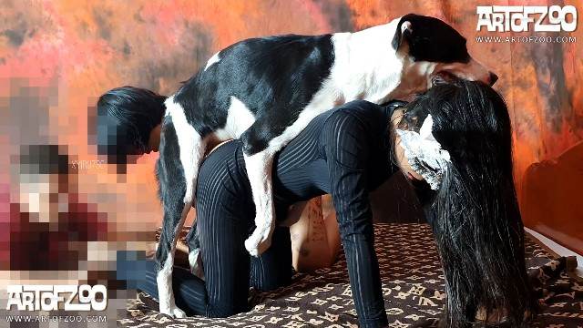 sexo bizarro peluda  sexo com animais zoofilia Mulher latina fazendo sexo com cavalo porco comendo a buceta mulher chupando a pica do cachorro Bestiality woman having sex with animals