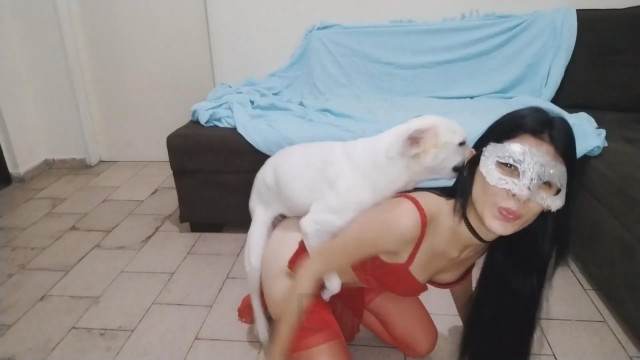 zoofilia DVDs sexo bizarro pornografia animal vídeos pornôs de animais grátis Vídeo de sexo bestial grátis melhores filmes de bestialidade de todos os tempos