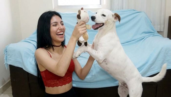 zoofilia DVDs sexo bizarro namorada loira a transar com cavalo Bestiality woman having sex with animals Puta transando com um cavalo em pé Nova tomando uma rolada de porco na vagina