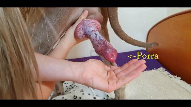 peluda  sexo com animais xoxota cachorro gozando animalsex porco comendo a buceta Filme pornô de zoofilia com uma mulher indiana Pornô de cavalo gozando dentro de mulher