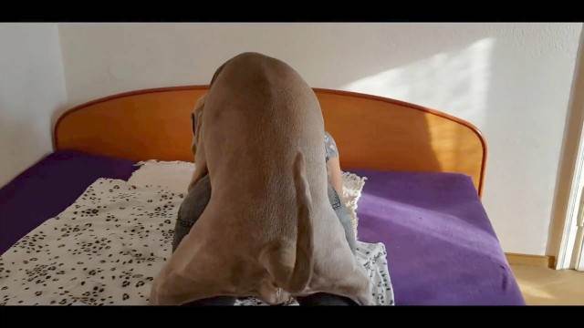 peluda  sexo com animais xoxota cachorro gozando filmes zoofiliade  brasileirinhas Filme pornô de zoofilia com uma mulher indiana art of zoo k9lady