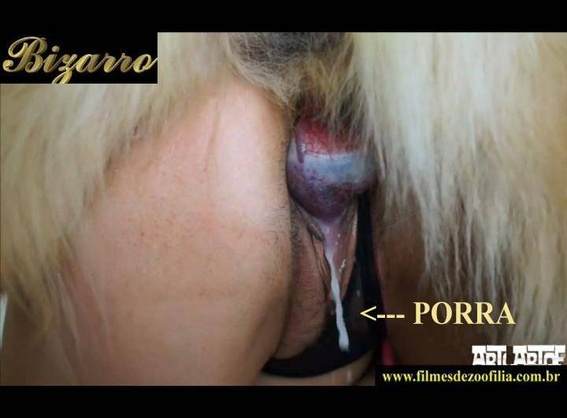 DVDs xoxota pinto de cavalo Cachorro dá um nó na buceta da e engata o pinto até gozar Seamless cachorro comendo buceta novinha gostosa brasileira dando a sua buceta para o cavalo