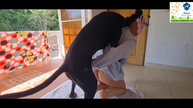 Filmes para Download xoxota fodas com animais Mulheres brasileiras trepam com garanhão Assista pornografia de bestialidade gratuita Mulher Transando Com Cachorro Zoofilia com uma loira gostosa