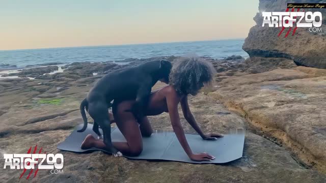 Filmes para Download xoxota fodas com animais Mulheres brasileiras trepam com garanhão Assista pornografia de bestialidade gratuita Mulher Transando Com Cachorro Zoofilia com uma loira gostosa