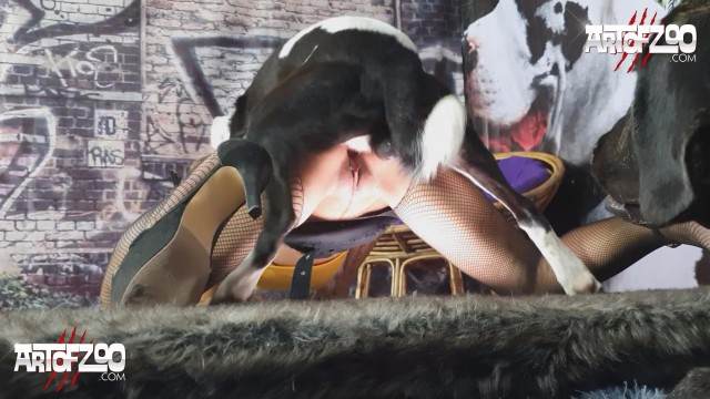 xoxota cachorro gozando fodas com animais Cavalo de Pau Molhado e Mulher Chupando Cachorro arrombando buceta da dona Raven, DogWoman, Alison, Yasmin, Gisele, Vixen, Cupcake, Lise, Sonia Zoofilia Zoofilia com uma loira gostosa