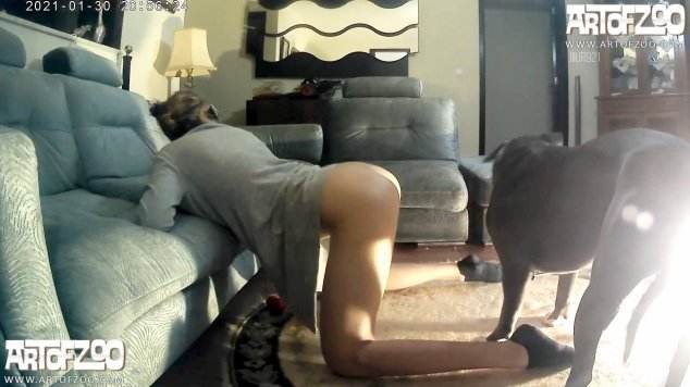 xoxota cachorro gozando fodas com animais porco comendo buceta Mulher Negra chupando pica de cavalo Pornô de cavalo gozando dentro de mulher cavalo mete com força na buceta