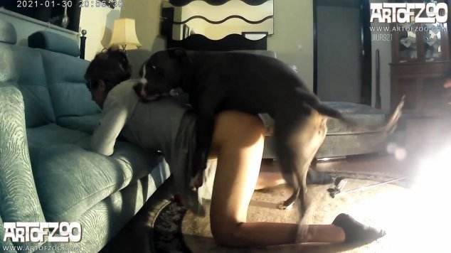 xoxota cachorro gozando fodas com animais cavalo gozando na mulher Filmes Pornô Com Cachorros - Zoofilia Amadora porco comendo buceta Cachorro fodendo com uma loira muito gostosa