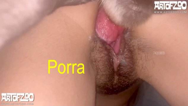 xoxota cachorro gozando fodas com animais sexo com cavalos e uma MILF Cavalo de Pau Molhado e Mulher Chupando filmes anal sexual amor zoofílico orgia no zoológico Filmes Pornô Com Cachorros - Zoofilia Amadora