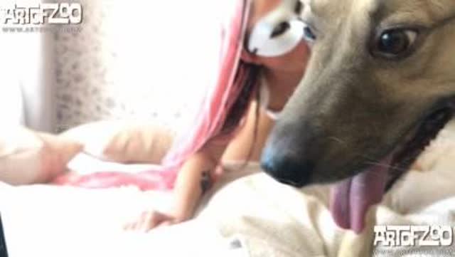 sexo bizarro dogbond Filmes para Download Assista pornografia de bestialidade gratuita Mulher trepando com cavalão enquanto marido cornao assiste filmes zoofiliade  brasileirinhas k9lady