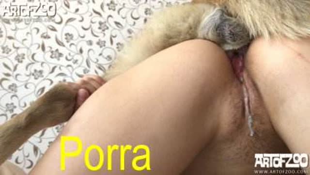 sexo bizarro dogbond Filmes para Download Cavalo de Pau Molhado e Mulher Chupando Pornô de cavalo gozando dentro de mulher cachorro de pau duro cavalo gozando na mulher