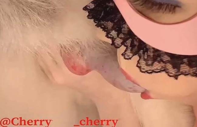 xoxota Filmes para Download cachorro gozando k9lady Lise private club animalsex Cavalo de Pau Molhado e Mulher Chupando cachorro de pau duro