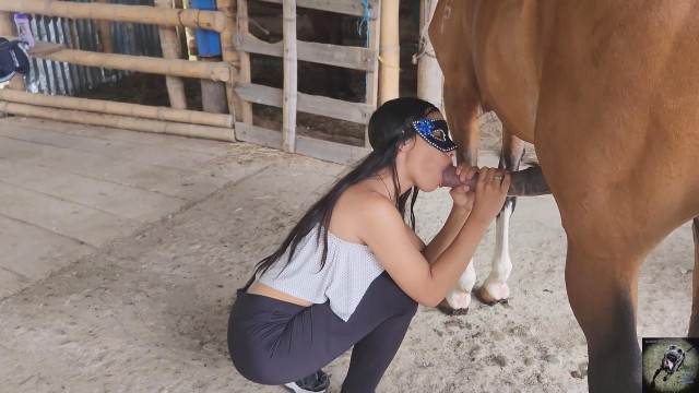 Filmes para Download pinto de cavalo zoofilia Cachorro comendo o Cu da empregada Mulher trepando com cavalão enquanto marido cornao assiste Pornô de cavalo gozando dentro de mulher Cachorro comendo e gozando no cu da casada bunduda
