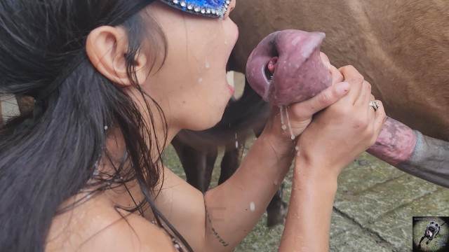 Filmes para Download pinto de cavalo zoofilia Cavalo gozando dentro da buceta de uma loira cavala Mulher trepando com cavalão enquanto marido cornao assiste novinha gostosa brasileira dando a sua buceta para o cavalo cachorro de pau duro