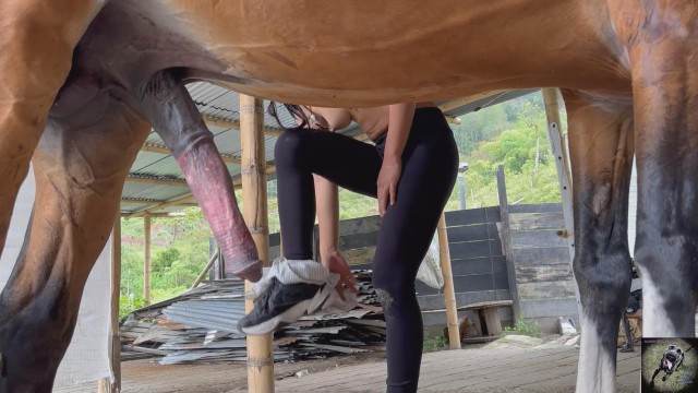 Filmes para Download pinto de cavalo zoofilia Mulher Transando Com Cachorro mulher de quatro no chiqueiro dando para um porco animal sexo tubo cavalo gozando na buceta