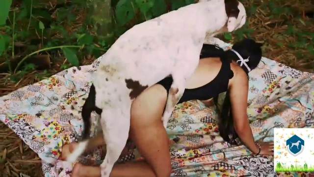 DVDs Filmes para Download dogbond Mulher Negra chupando pica de cavalo art of zoo vídeos pornôs de animais grátis pornô zoofilia com oral