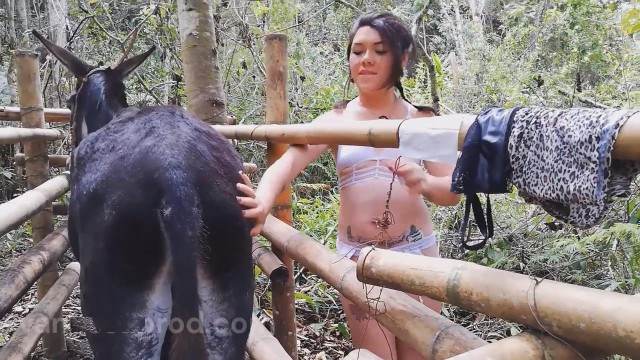 DVDs Filmes para Download peluda  sexo com animais Cavalo de Pau Molhado e Mulher Chupando Pornô de cavalo gozando dentro de mulher site de tubo de sexo zoo animal Raven, DogWoman, Alison, Yasmin, Gisele, Vixen, Cupcake, Lise, Sonia Zoofilia