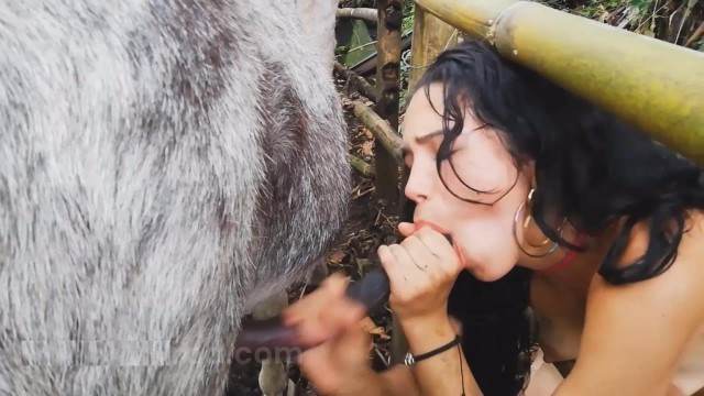 DVDs Filmes para Download peluda  sexo com animais Seamless Vídeos porno de zoofilia con perros y caballos que follan a las chicas zoofílicas Mad GloryQuest Japones sexo com cachorro pornografia animal