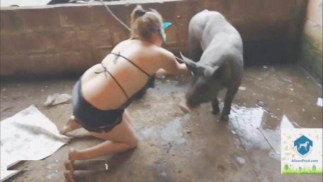 DVDs Filmes para Download peluda  sexo com animais Puta transando com um cavalo em pé Mulher Transando Com Cachorro cavalo de pau duro cachorro de pau duro