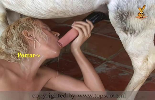 pinto de cavalo sexo bizarro fodas com animais k9lady Andy Private Caledonian ,ZOOdelight ,Zooskool ZOOSEX Vídeo de sexo bestial grátis O javali gozador na buceta da garota nova