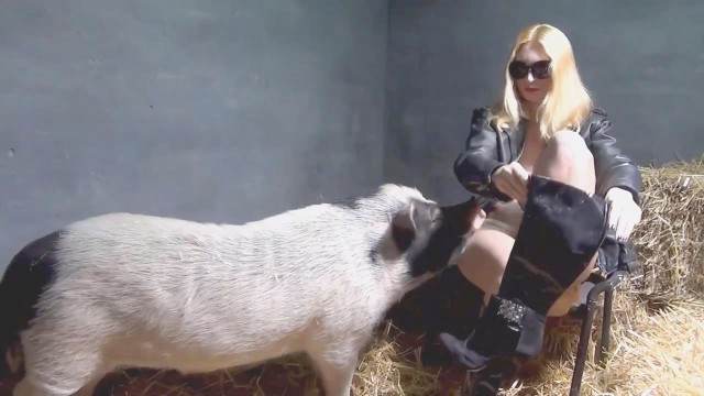 sexo bizarro xoxota peluda  sexo com animais cavalo gozando na buceta Mulher batendo punheta pro cachorro alisonprod animalsex