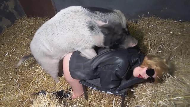 sexo bizarro xoxota peluda  sexo com animais Vídeo de sexo bestial grátis filmes anal sexual amor zoofílico orgia no zoológico Cachorro fodendo com uma loira muito gostosa cavalo mete com força na buceta