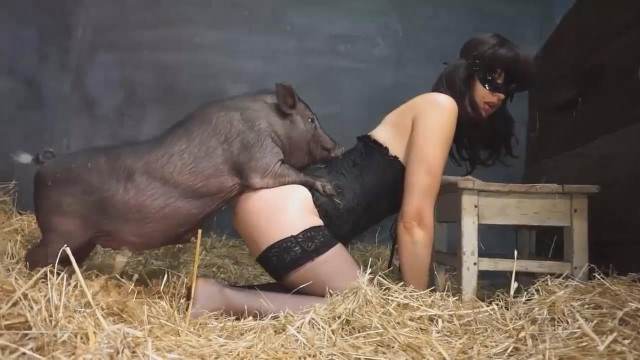 cabeluda cachorro gozando Filmes para Download novinha gostosa brasileira dando a sua buceta para o cavalo sexo bizarro Porno Bizarro - Sexo Gratis Lise private club animalsex