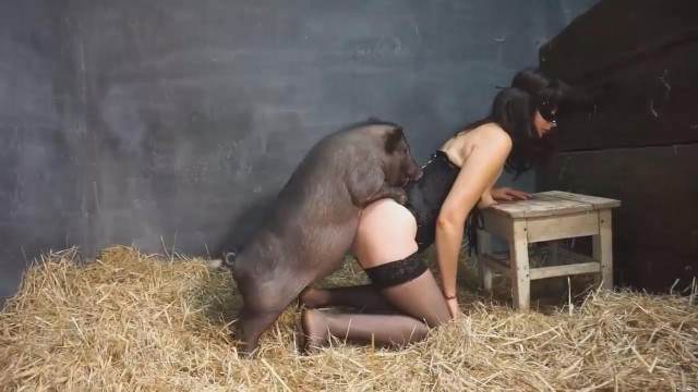 cabeluda cachorro gozando Filmes para Download Seamless Cavalo gozando dentro da buceta de uma loira cavala Puta transando com um cavalo em pé Zoofilia com uma loira gostosa