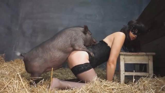 cabeluda cachorro gozando Filmes para Download Mad GloryQuest Japones sexo com cachorro novinha gostosa brasileira dando a sua buceta para o cavalo Cachorro fodendo com uma loira muito gostosa sexo com cavalos e uma MILF