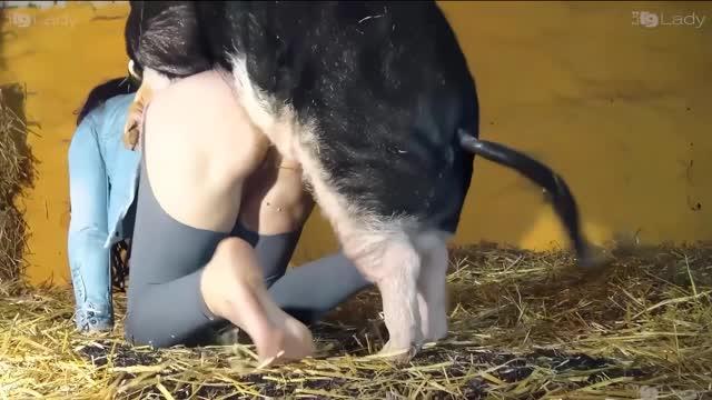 Filmes para Download xoxota fodas com animais cachorro comendo buceta Vídeo de sexo bestial grátis mulher chupando a pica do cachorro pornô zoofilia com oral