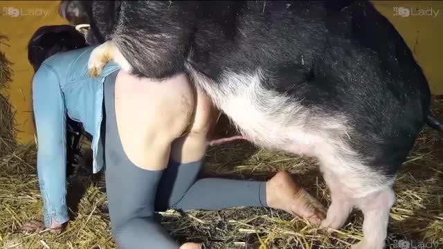 Filmes para Download xoxota fodas com animais namorada loira a transar com cavalo Cachorro comendo e gozando no cu da casada bunduda Assista pornografia de bestialidade gratuita Cavalo gozando dentro da buceta de uma loira cavala