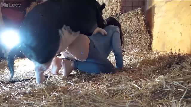 Filmes para Download xoxota fodas com animais Mulher trepando com cavalão enquanto marido cornao assiste animal sexo tubo Filmes Pornô Com Cachorros - Zoofilia Amadora cavalo gozando na buceta