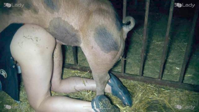 dogbond fodas com animais Filmes para Download vídeos pornôs de animais grátis Cachorro lambendo buceta molhada sexo bizarro Vídeo de sexo bestial grátis