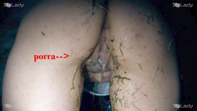 dogbond fodas com animais Filmes para Download Zoofilia com uma loira gostosa Penetração Sexo com cachorro Pornografia de zoológico grátis Mulheres brasileiras trepam com garanhão animal sexo tubo
