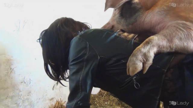 pinto de cavalo sexo bizarro cabeluda cavalo de pau duro Seamless pornografia animal cavalo mete com força na buceta