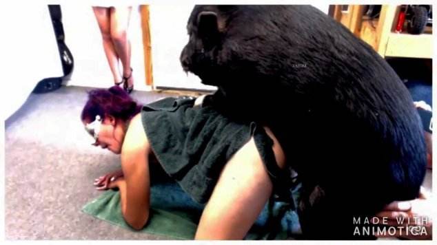 cachorro gozando cabeluda dogbond Penetração Sexo com cachorro Pornografia de zoológico grátis cavalo de pau duro Bestiality woman having sex with animals Mulher latina fazendo sexo com cavalo