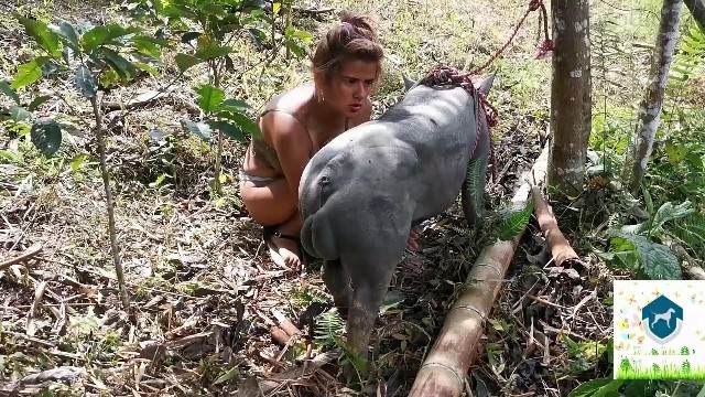 xoxota pinto de cavalo fodas com animais Porco Comendo Cuzinho De Mulher Quarentona Cachorro comendo o Cu da empregada Filme pornô com um enorme pau de cavalo Vídeos porno de zoofilia con perros y caballos que follan a las chicas zoofílicas