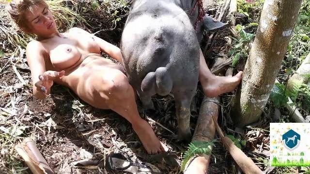 xoxota pinto de cavalo fodas com animais Zoosection Bestiality woman having sex with animals Andy Private Caledonian ,ZOOdelight ,Zooskool ZOOSEX Mulher trepando com cavalão enquanto marido cornao assiste