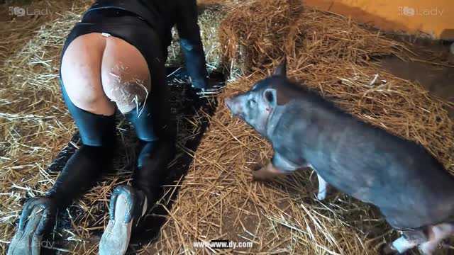 Filmes para Download xoxota fodas com animais namorada loira a transar com cavalo Cachorro comendo e gozando no cu da casada bunduda Assista pornografia de bestialidade gratuita Cavalo gozando dentro da buceta de uma loira cavala