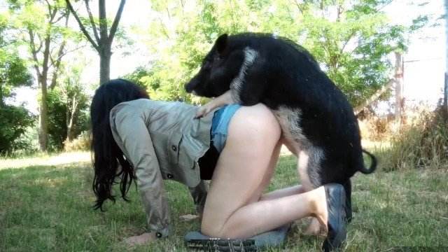 fodas com animais cachorro gozando Filmes para Download porco comendo a buceta Zoosection Porco comendo a bucetona da putona com tesão zoofilia selvagem