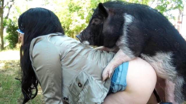 fodas com animais cachorro gozando Filmes para Download pornografia animal Filmes Pornô Com Cachorros - Zoofilia Amadora Penetração Sexo com cachorro Pornografia de zoológico grátis cavalo de pau duro